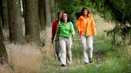 3 Frauen bei eine Walking Wanderung durch den Wald
