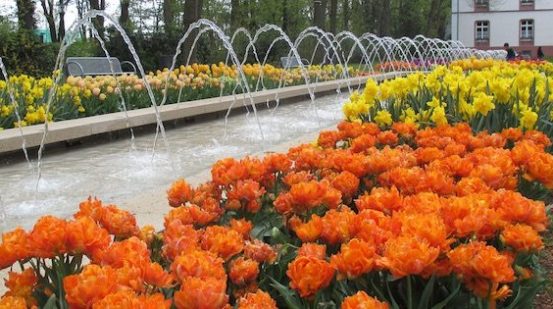 Wasseranlage mit bunten Blumen in bad Camberg