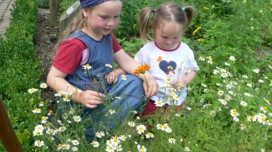 Kinder in einem Blumenfeld