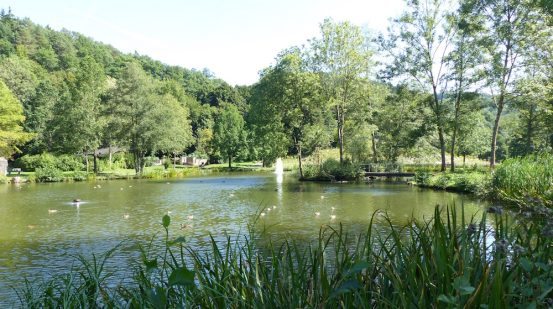 Kurpark in Daun mit kleinem See