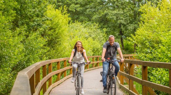 Frau und Mann fahren Fahrrad über eine Holzbrücke im Park