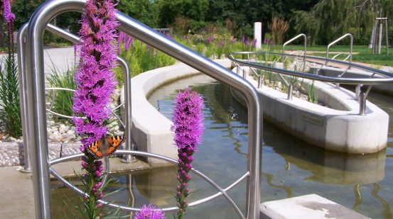 Kurpark Wassertretanlage mit lila Blume und einem Schmetterling